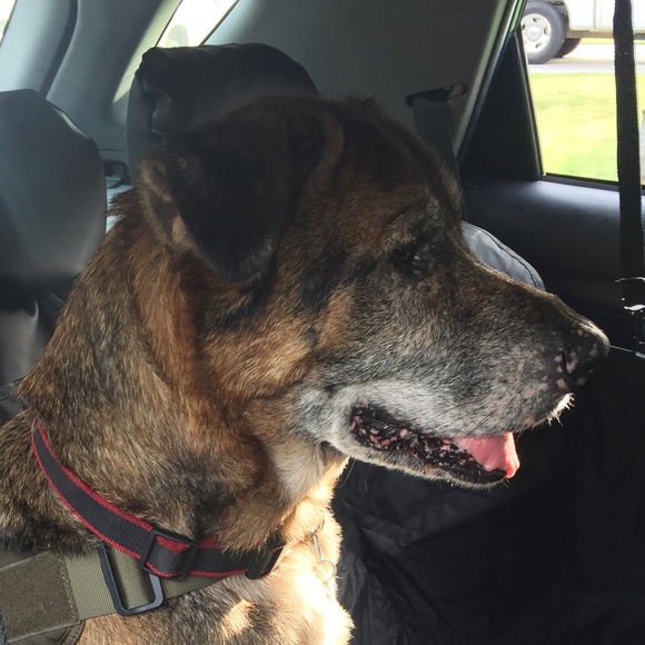 Meet your Posher, Cindy - Picture 1 of 1